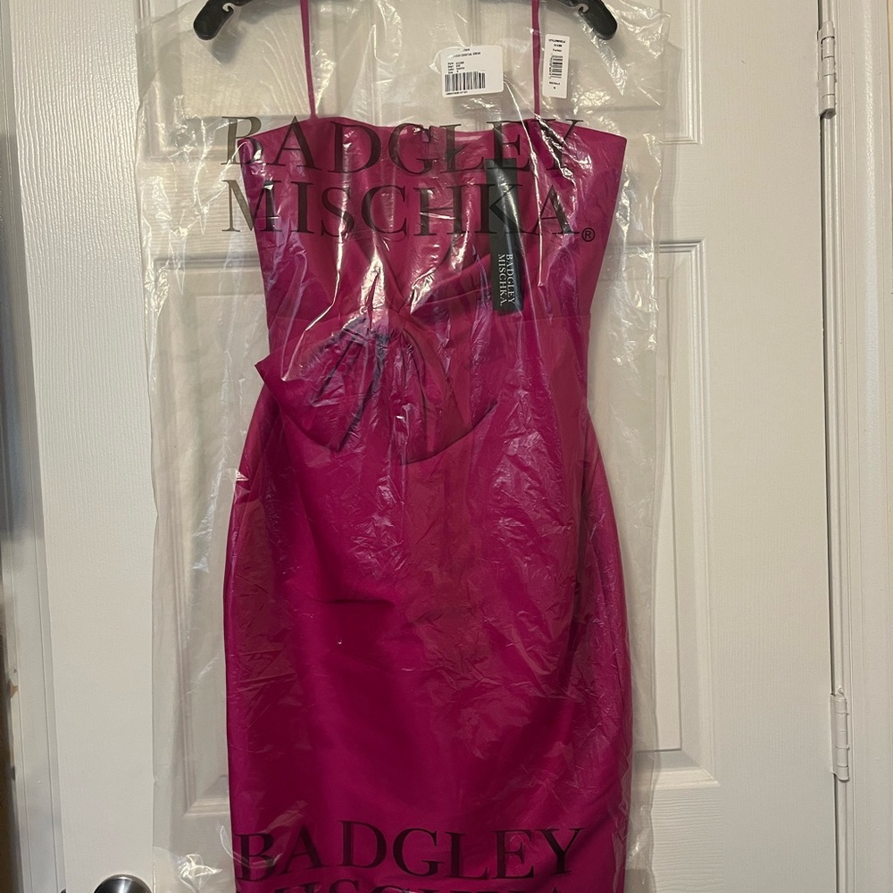 Badgley Mischka Fuchsia Strapless Dress